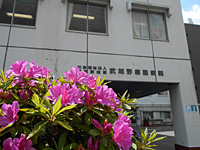 /re2014050204.jpg